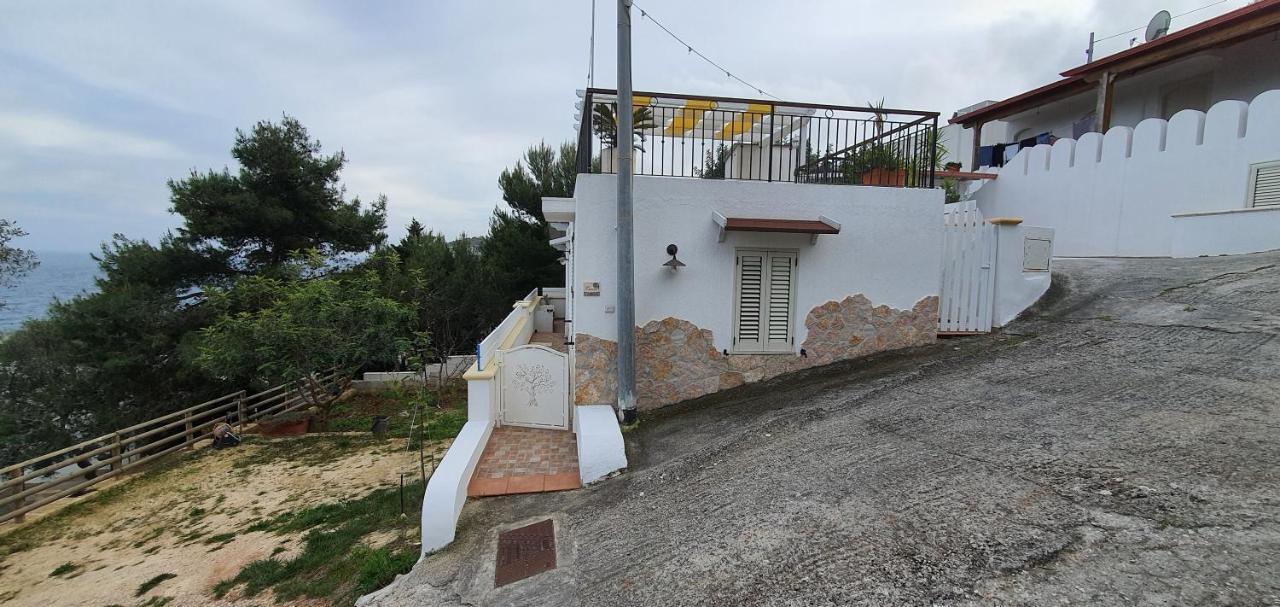 Casa Vacanze "Il Carrubo" Gagliano del Capo Kültér fotó